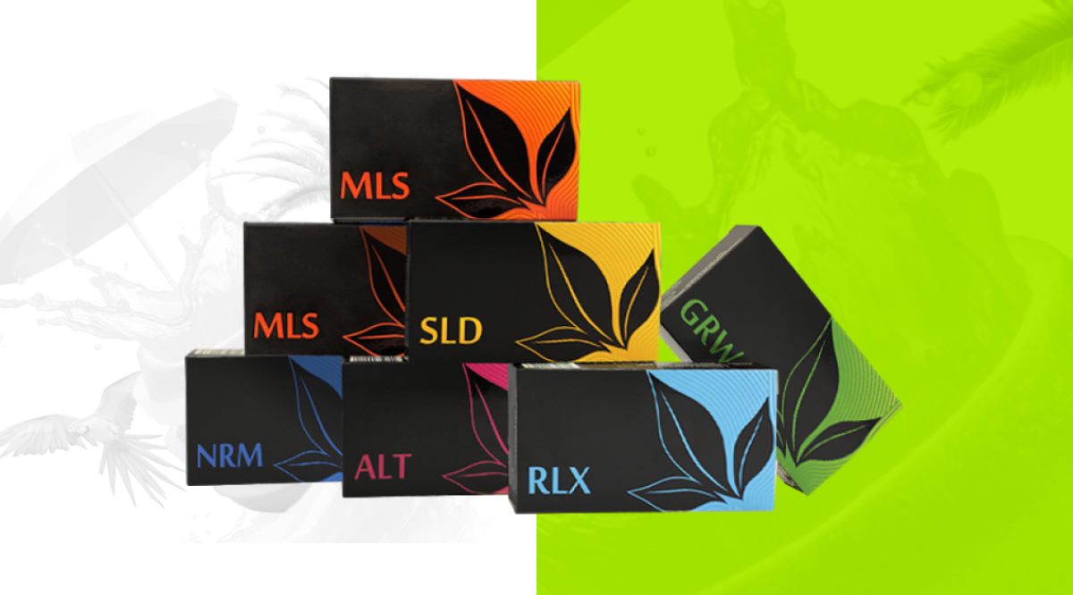 KIT "DAS LEBEN LEBEN"