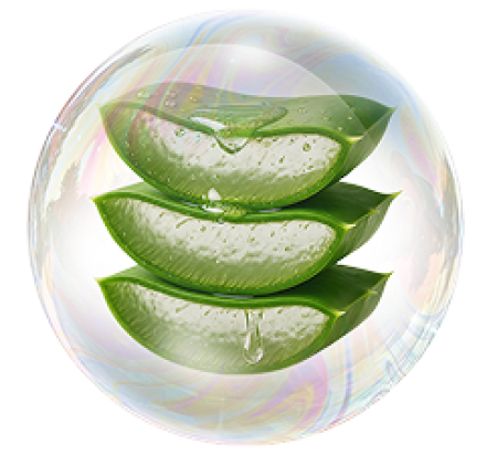 Aloe Barbadensis Extrakt (Aloe Vera)