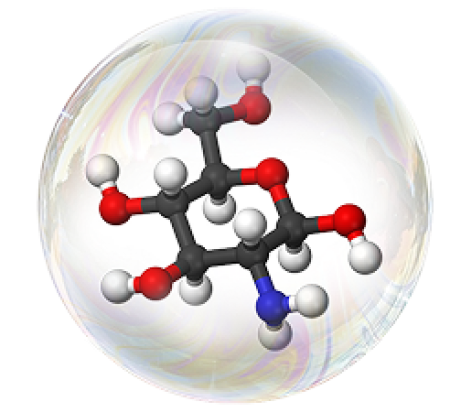 Glucosamin & Chondroitin
