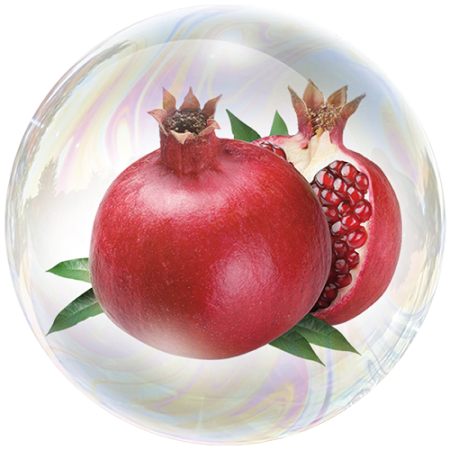 Granatapfel