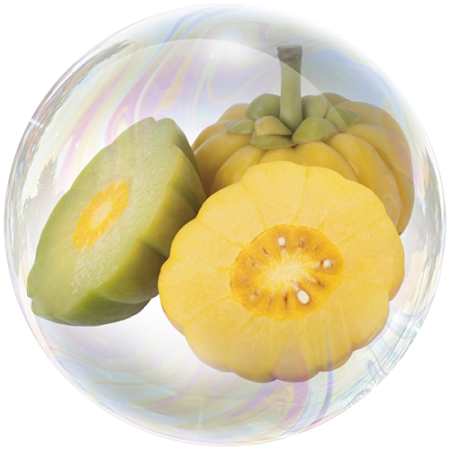 Garcinia (Garcinia cambogia)