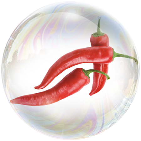 Roter Pfeffer (Capsicum)