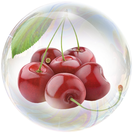 Sauerkirsche (Prunus cerasus)