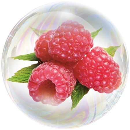 Himbeere (Rubus idaeus)