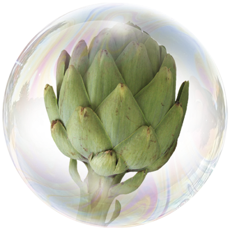 Artischocke (Cynara scolymus)