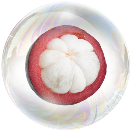 Mangostanfrucht (Garcinia mangostana)**