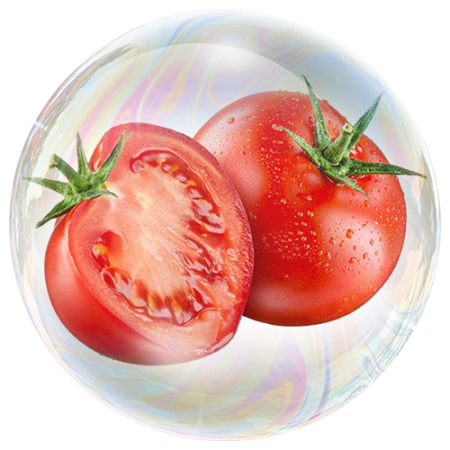 Tomatenextrakt (Solanum lycopersicum)